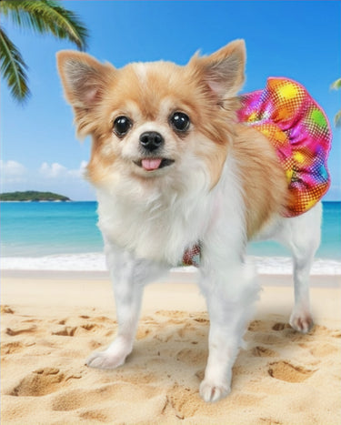 Ibiza Dog Bikini Set image 0