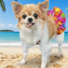 Ibiza Dog Bikini Set image 0