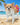 Ibiza Dog Bikini Set image 0