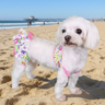 Pacific Dog Bikini Set image 0