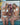 Stella Starfish Set