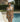 Tide Eyed Set